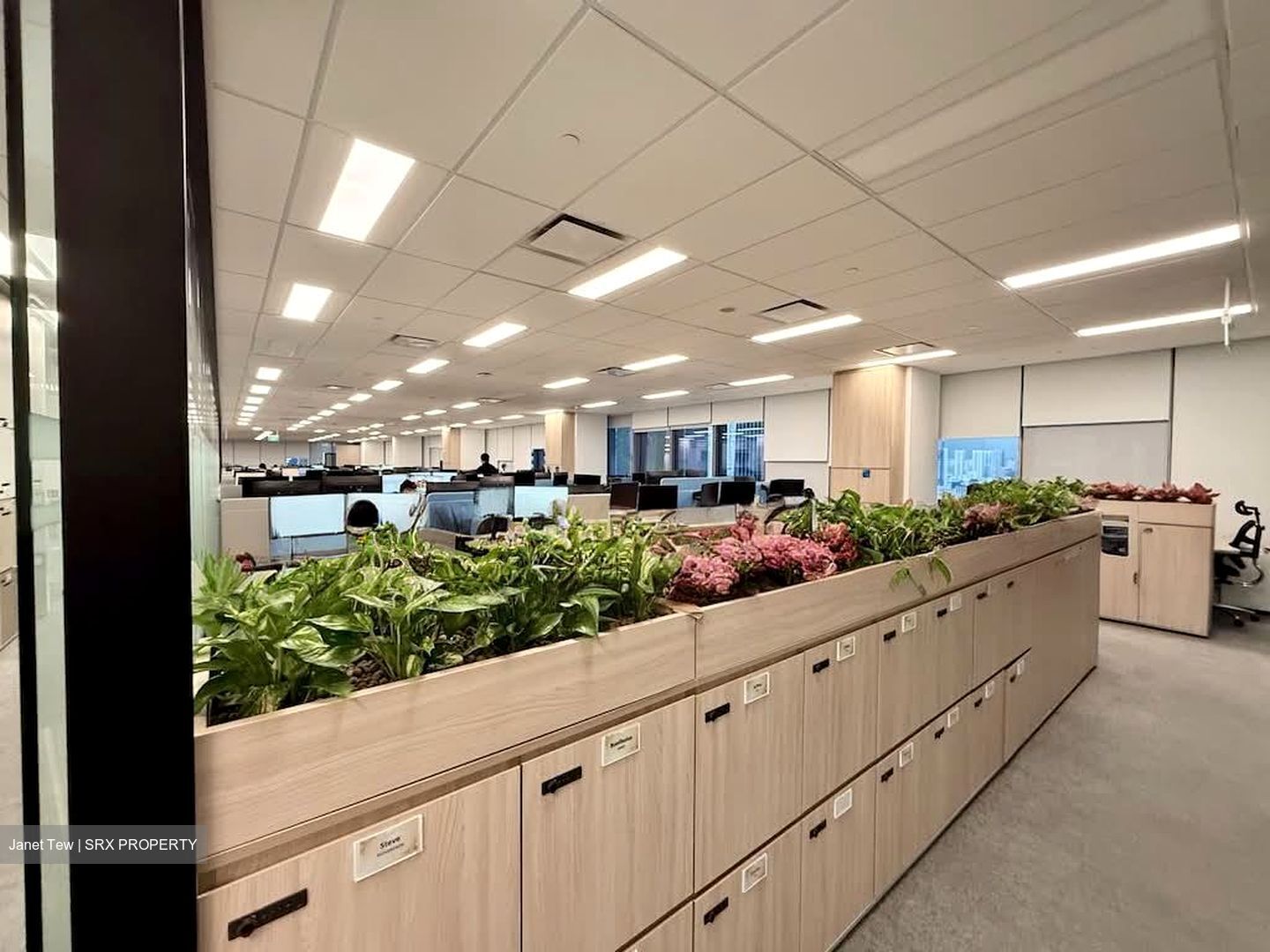 Capitasky (D1), Office #558438841